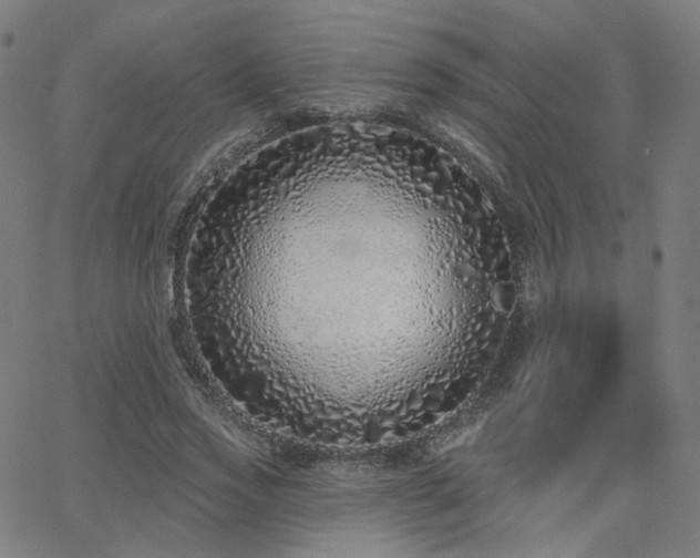 X0000063450733200601201219