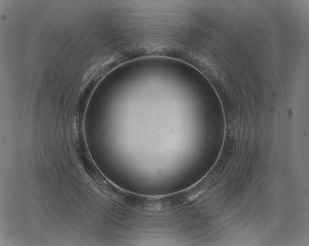 X0000063450740200601201219