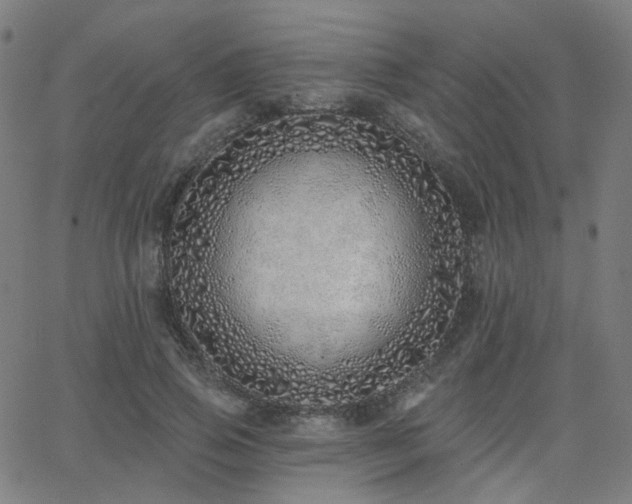 X0000063450741200601201219