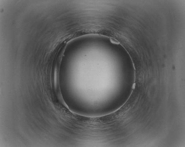 X0000063450743200601201219