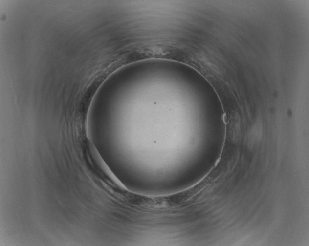 X0000063450747200601201220