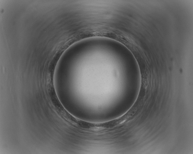 X0000063450748200601201220
