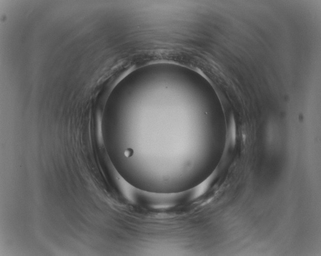 X0000063450750200601201220