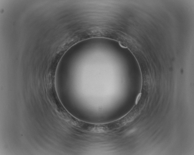 X0000063450751200601201220