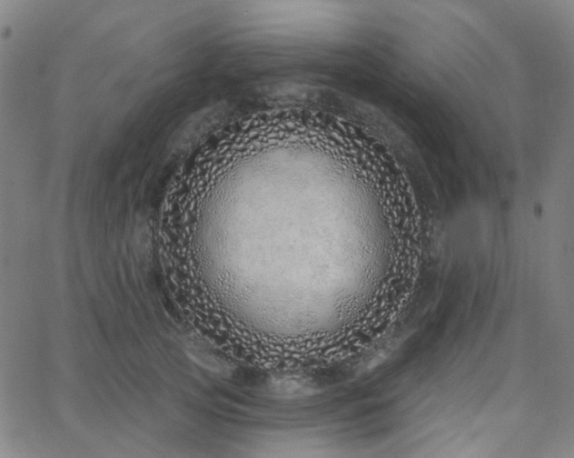 X0000063450753200601201220