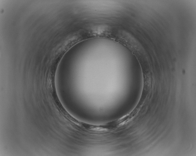 X0000063450754200601201220