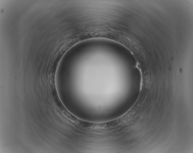 X0000063450756200601201220