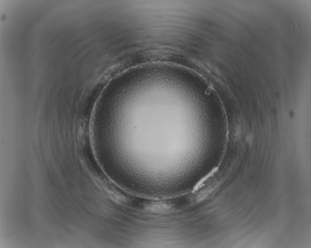 X0000063450759200601201220