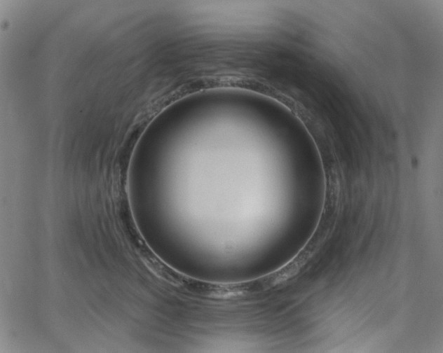 X0000063450760200601201220
