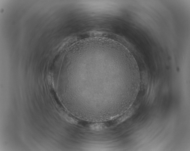 X0000063450761200601201220