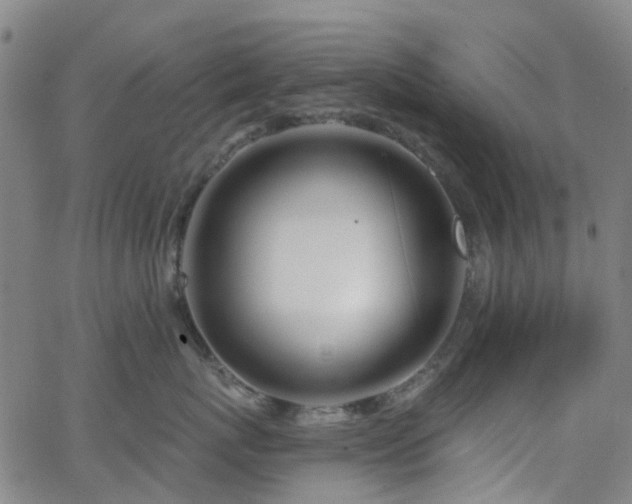 X0000063450767200601201220