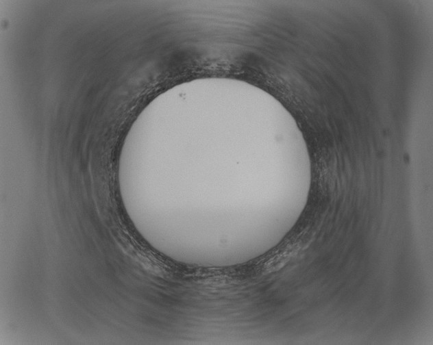 X0000063450769200601201219