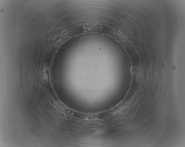 X0000063450770200601201219