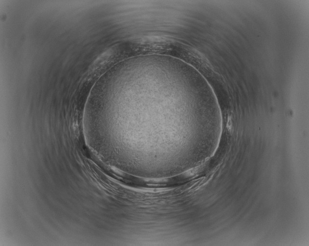 X0000063450771200601201219