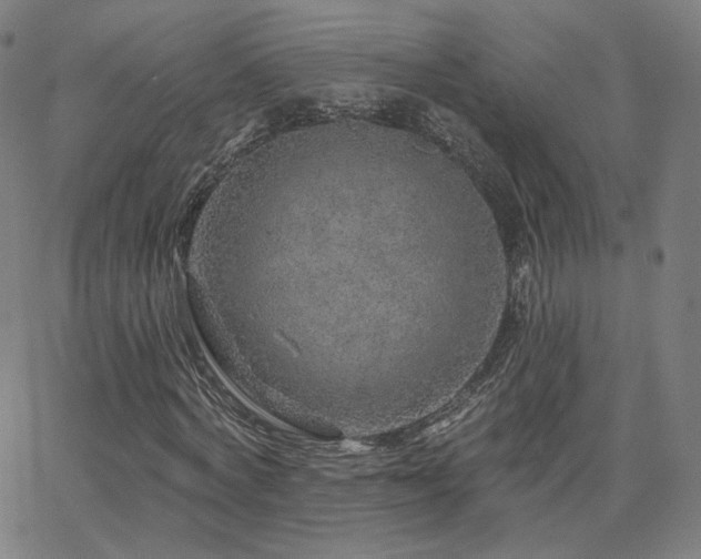 X0000063450772200601201219