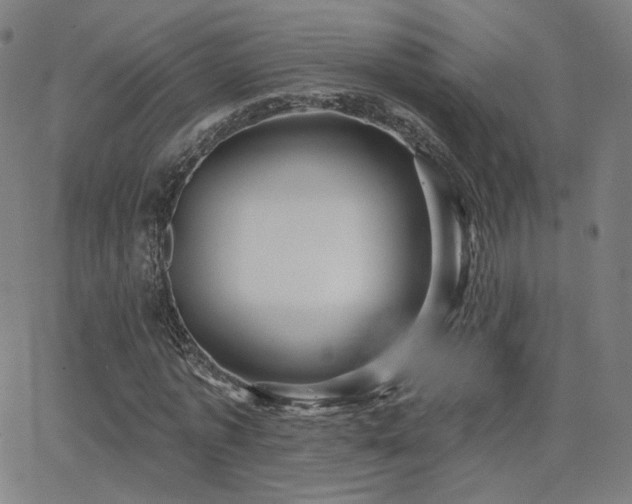 X0000063450773200601201219