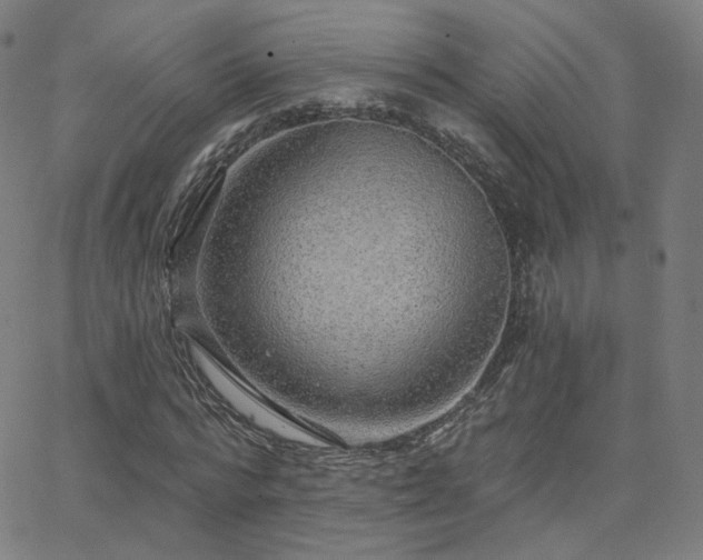 X0000063450776200601201219