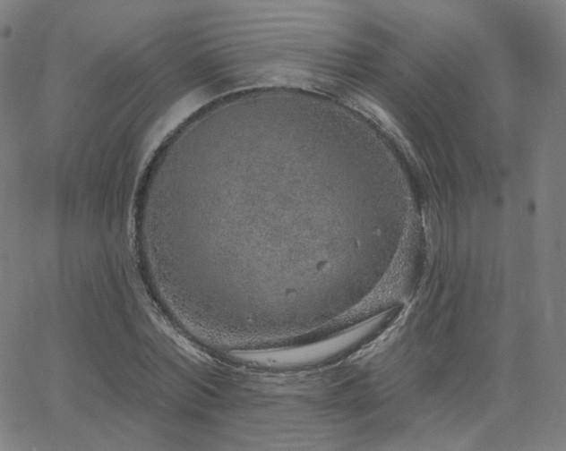 X0000063450780200601201219