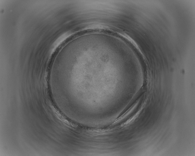X0000063450783200601201219