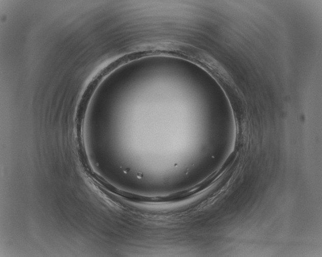 X0000063450784200601201219