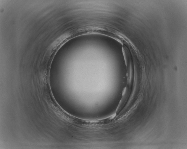 X0000063450785200601201219