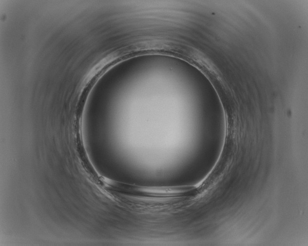 X0000063450786200601201219
