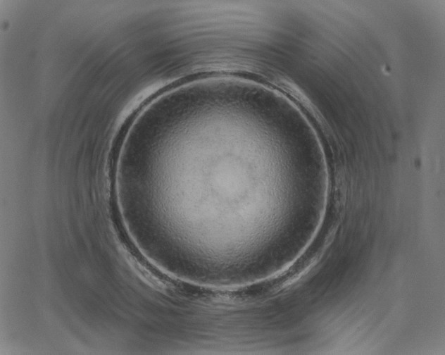 X0000063450787200601201219