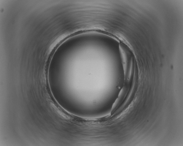 X0000063450789200601201219