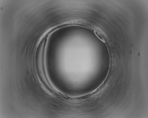 X0000063450792200601201219
