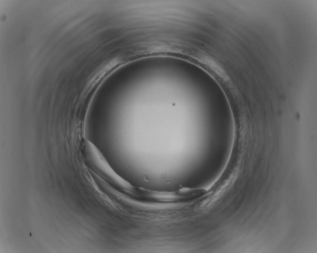 X0000063450793200601201219