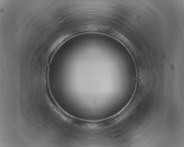 X0000063450794200601201219