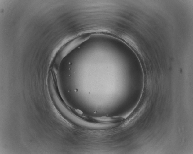 X0000063450797200601201219