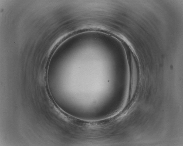 X0000063450799200601201219