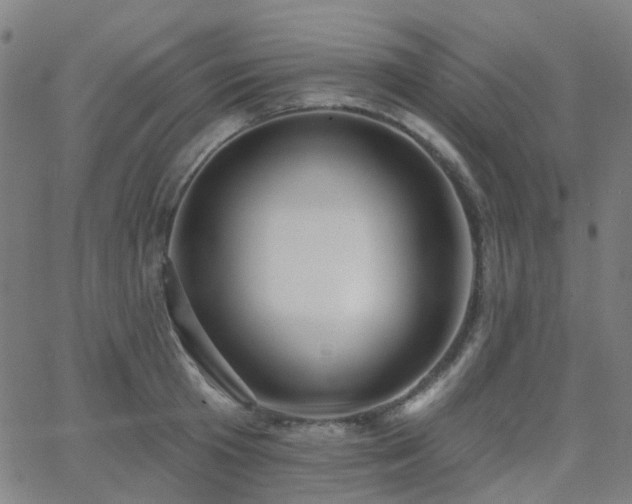 X0000063450801200601201219