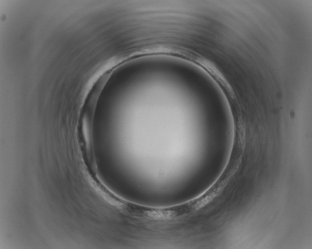 X0000063450805200601201219