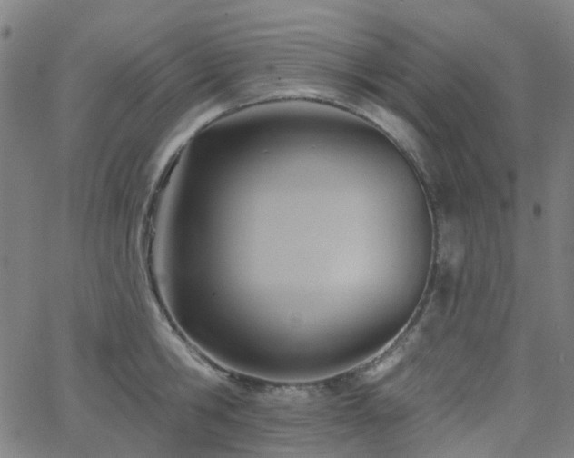 X0000063450806200601201219