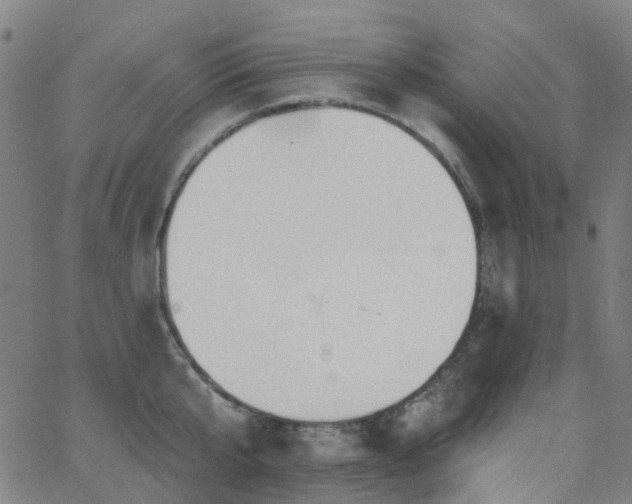 X0000063450807200601201218