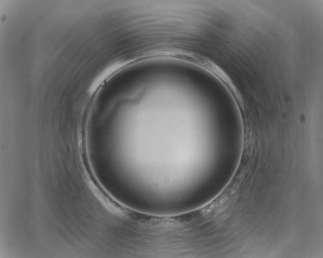 X0000063450811200601201218