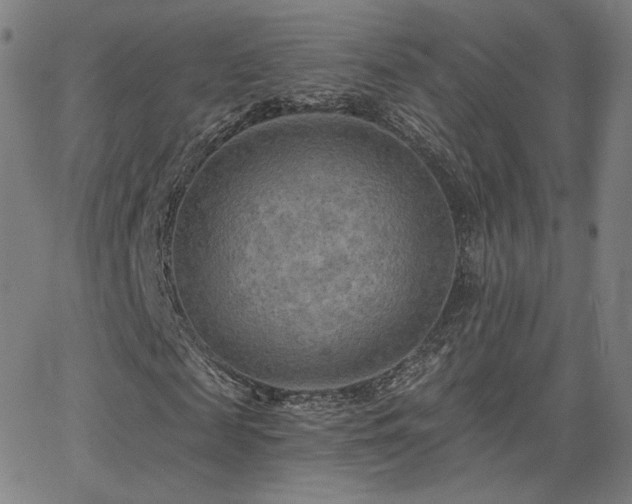 X0000063450817200601201218