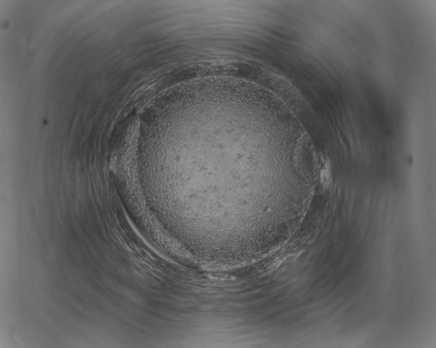 X0000063450819200601201218