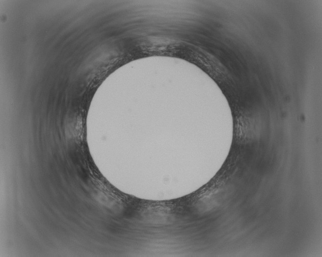 X0000063450820200601201218