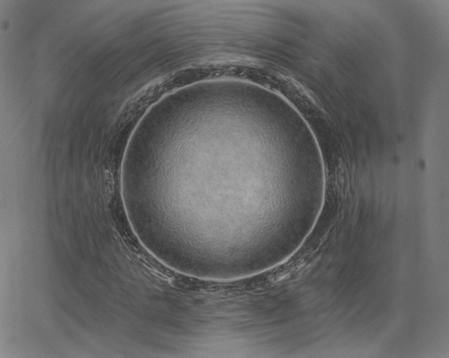 X0000063450821200601201218