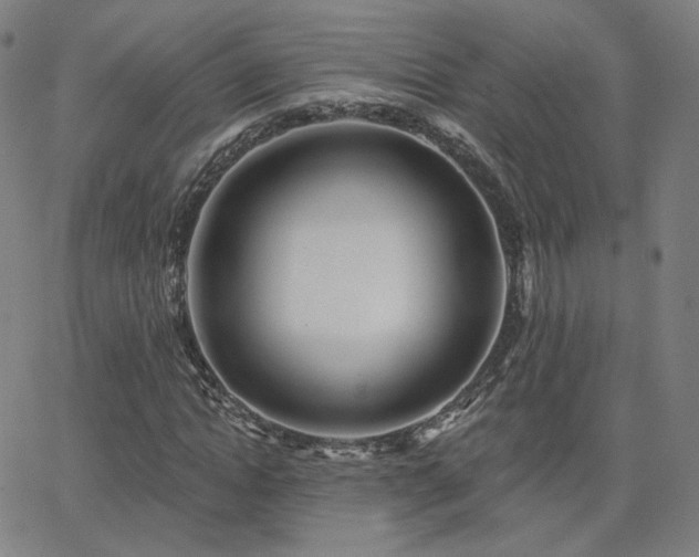 X0000063450822200601201218