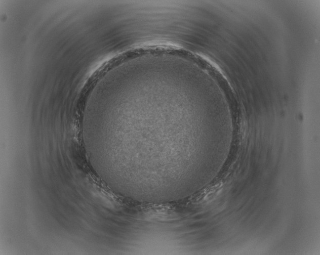 X0000063450823200601201218