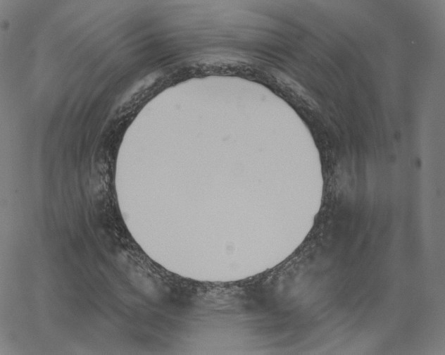 X0000063450824200601201218