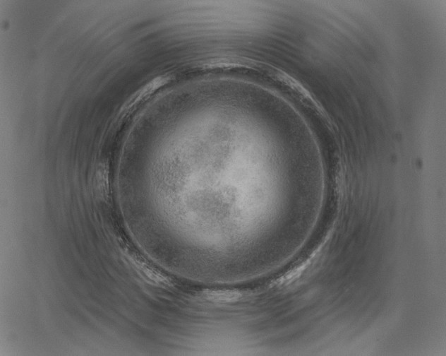 X0000063450825200601201218