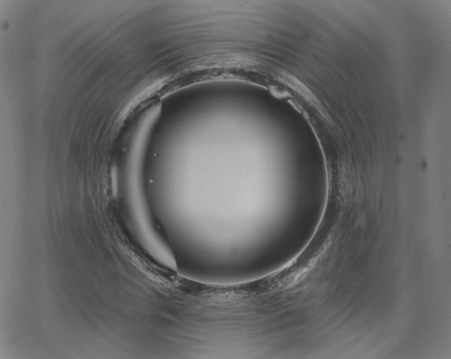 X0000063450826200601201218
