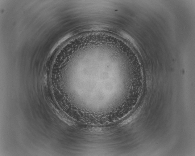 X0000063450827200601201218