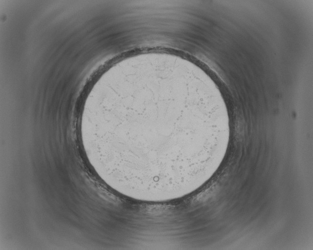 X0000063450832200601201218