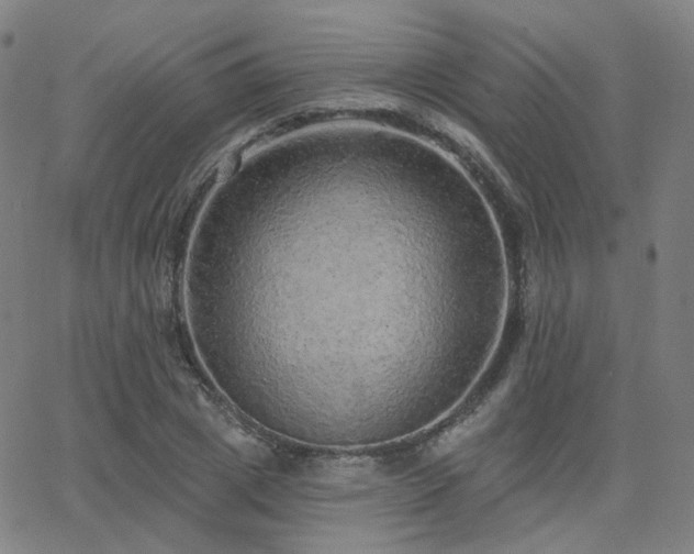 X0000063450833200601201218